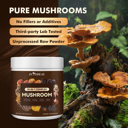 10-in-1 Mushroom Powder Complex – Lions Mane, Reishi, Chaga, Turkey Tail | 8oz