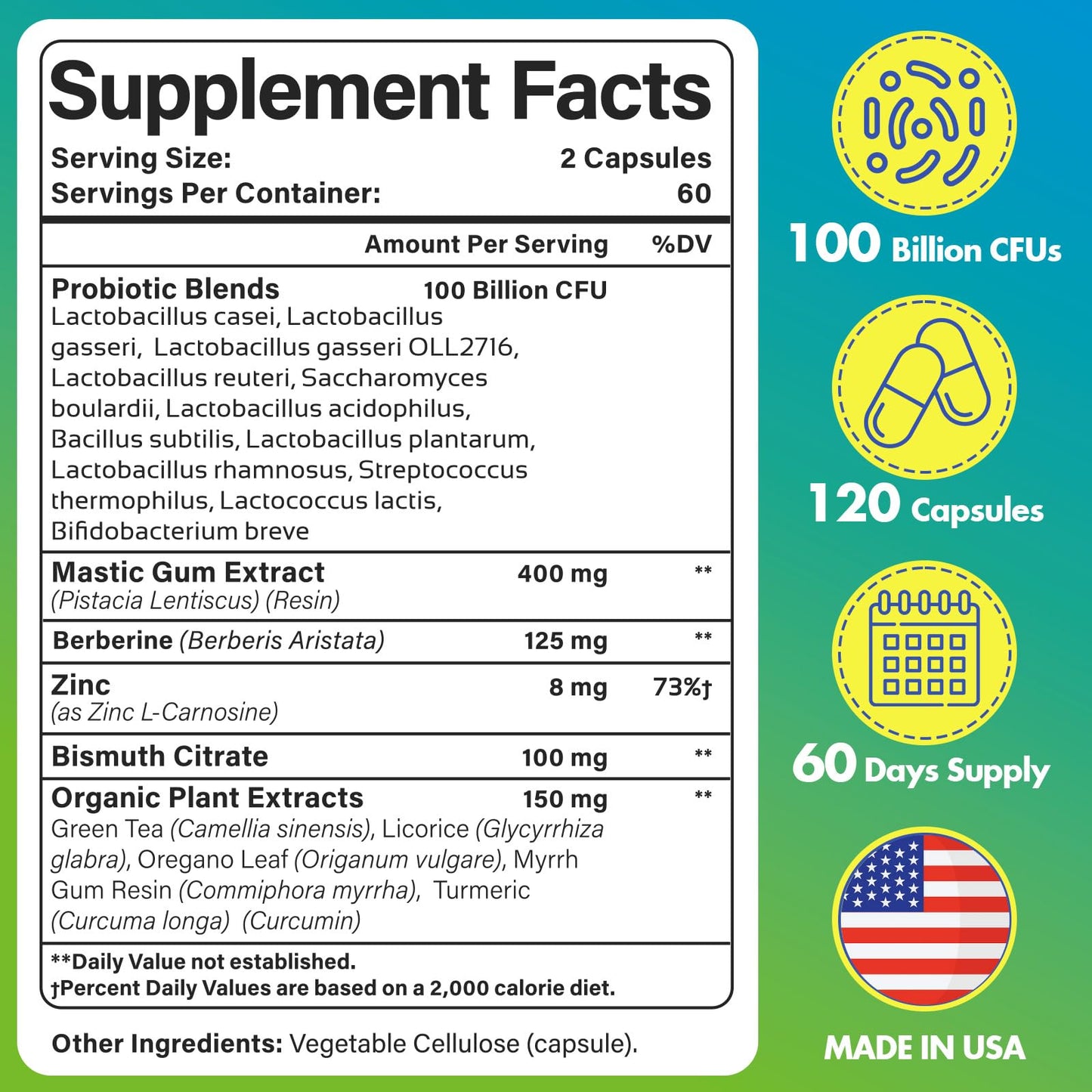H. Pylori Defense Probiotics 100B CFU – 12 Strains, Mastic Gum, Berberine, Zinc Carnosine | 120 Capsules