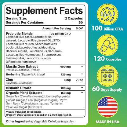 H. Pylori Defense Probiotics 100B CFU – 12 Strains, Mastic Gum, Berberine, Zinc Carnosine | 120 Capsules