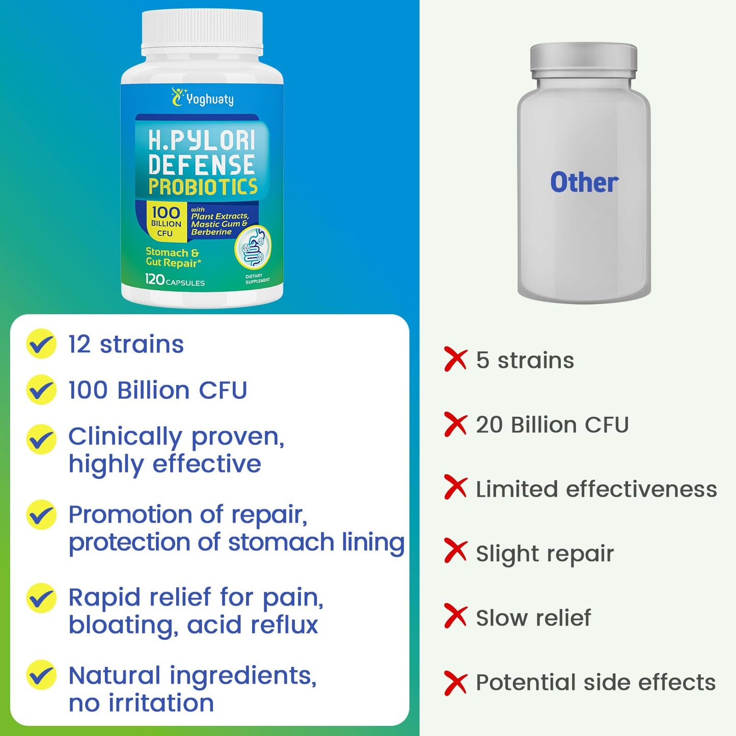 H. Pylori Defense Probiotics 100B CFU – 12 Strains, Mastic Gum, Berberine, Zinc Carnosine | 120 Capsules