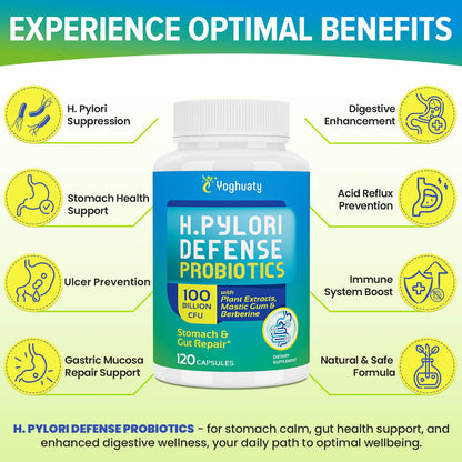 H. Pylori Defense Probiotics 100B CFU – 12 Strains, Mastic Gum, Berberine, Zinc Carnosine | 120 Capsules