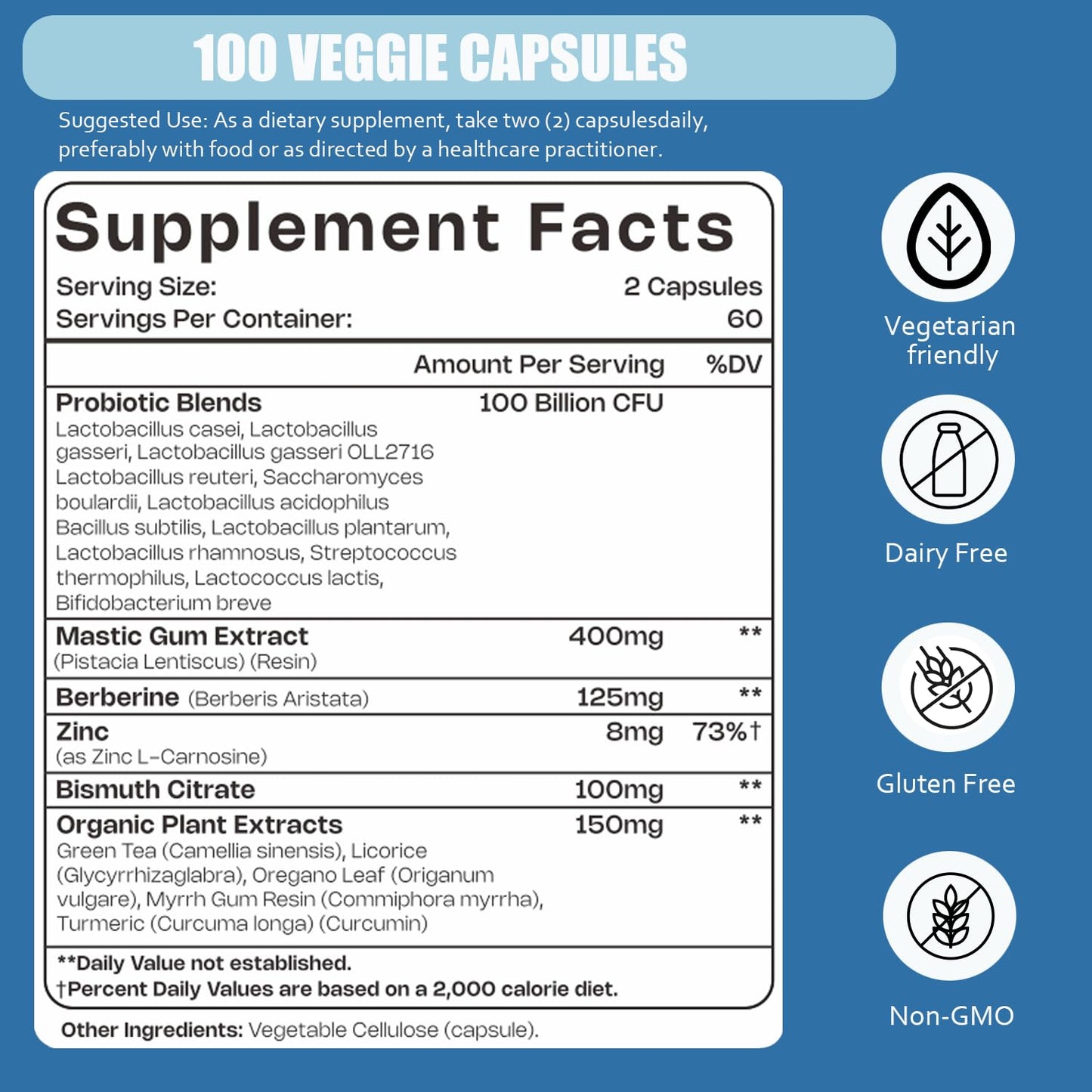 H. Pylori Support Probiotic 100 Billion CFU | Vegan Capsules 120 Count