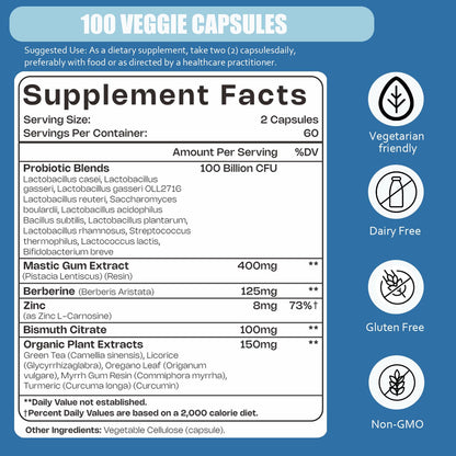 H. Pylori Support Probiotic 100 Billion CFU | Vegan Capsules 120 Count