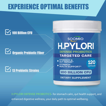 H. Pylori Support Probiotic 100 Billion CFU | Vegan Capsules 120 Count