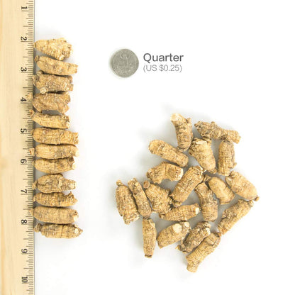 Hsu's Ginseng 113-4 | Cultivated American Ginseng from Marathon County, Wisconsin USA | 4oz Box