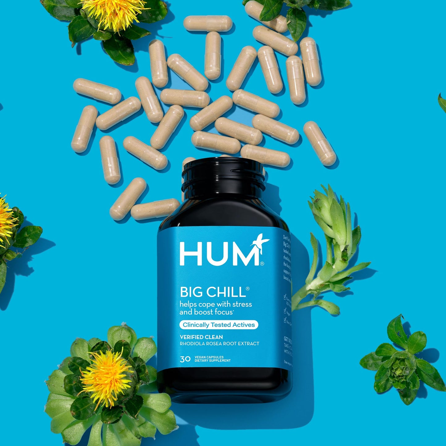 HUM Big Chill Rhodiola Rosea Adaptogen – Focus, Calm & Adrenal Support, 500mg, 30 Vegan Capsules