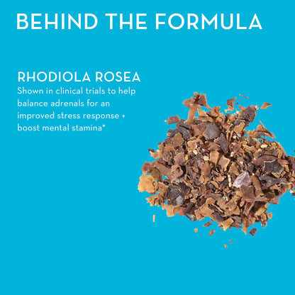 HUM Big Chill Rhodiola Rosea Adaptogen – Focus, Calm & Adrenal Support, 500mg, 30 Vegan Capsules