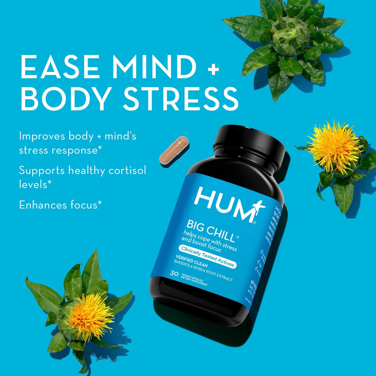 HUM Big Chill Rhodiola Rosea Adaptogen – Focus, Calm & Adrenal Support, 500mg, 30 Vegan Capsules