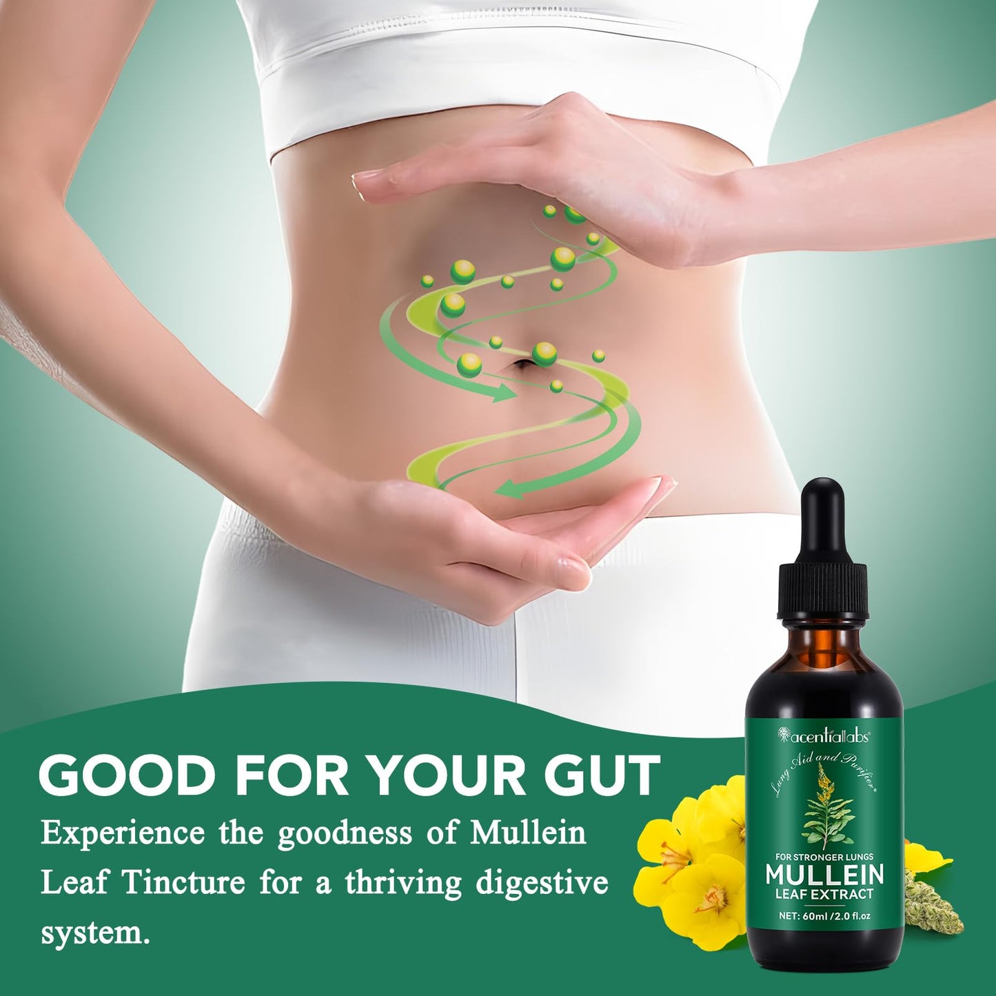 HUYEHF Mullein Drops - Mullein Leaf Extract for Lungs, Fast Absorption