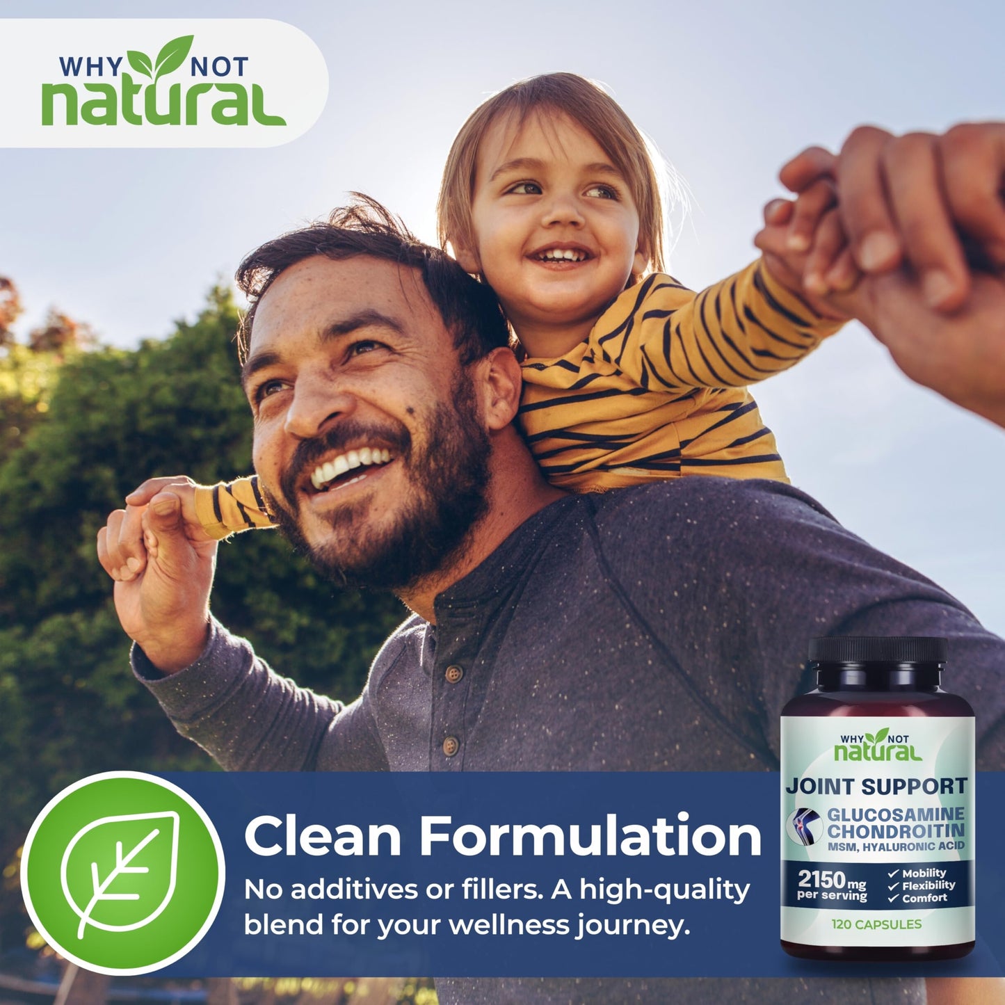 Why Not Natural Glucosamine Chondroitin, MSM, Joint Support Supplements | Knee Pain & Joint Health