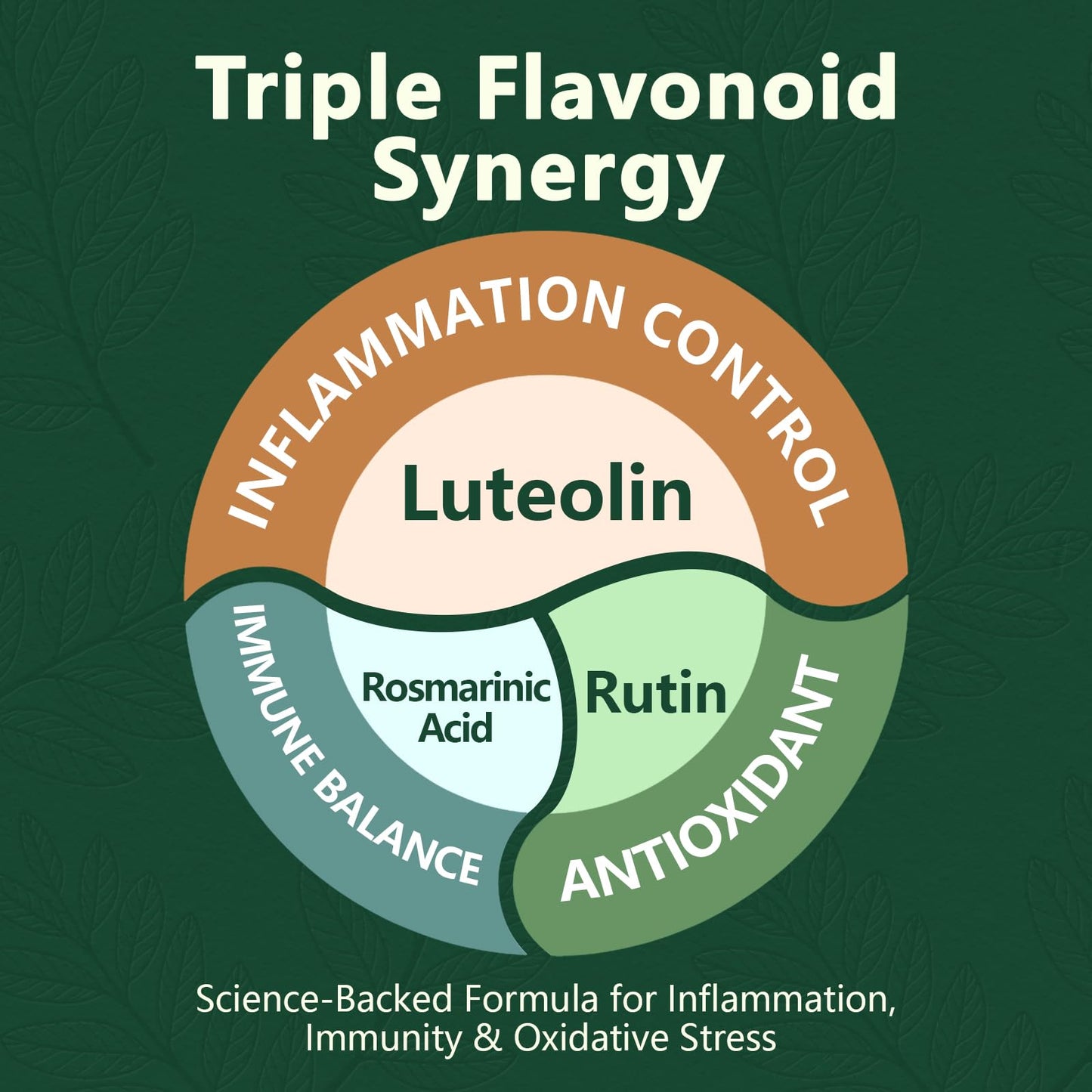 HyberVive Luteolin 200mg with Rutin & Perilla – Brain Health & Immunity – Made in USA