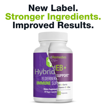 HybridEB Sambucus Elderberry Immune Support with Vitamin C, Zinc, D3 – 60 Capsules