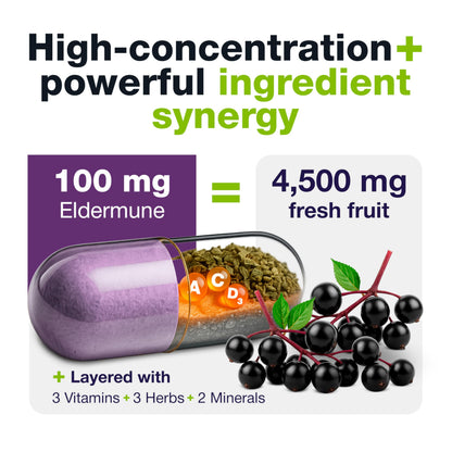 HybridEB Sambucus Elderberry Immune Support with Vitamin C, Zinc, D3 – 60 Capsules