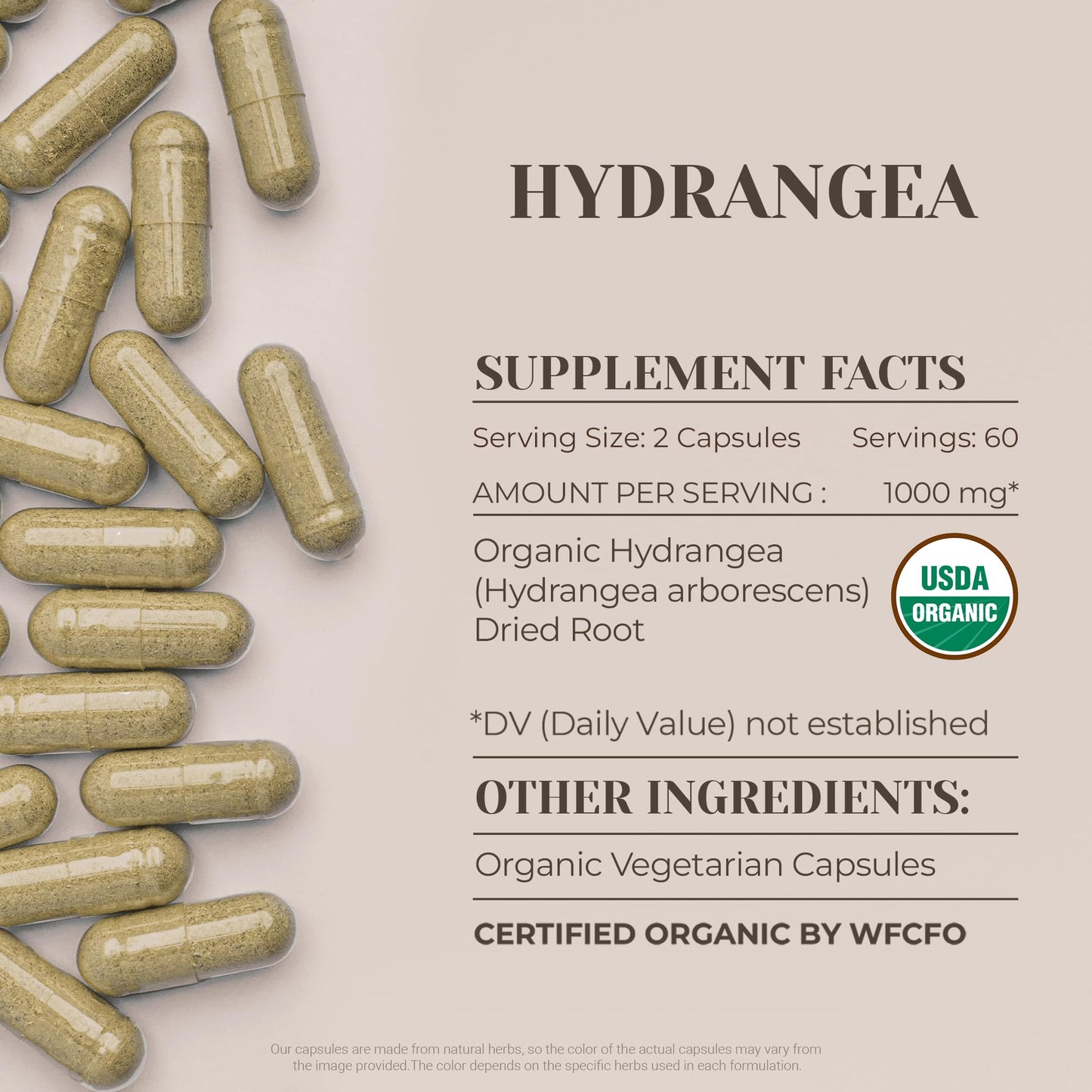Hydrangea USDA Organic 120 Capsules | High-Potency Natural Supplement | Organic Hydrangea arborescens Root