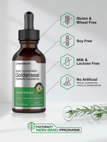 Horbaach Goldenseal Tincture Liquid Extract – 1 fl oz | Alcohol Free