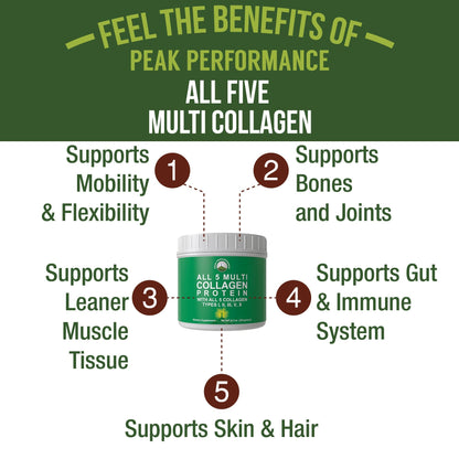 Peak Performance All 5 Multi-Collagen Powder – Types I, II, III, V, X | Keto & Paleo