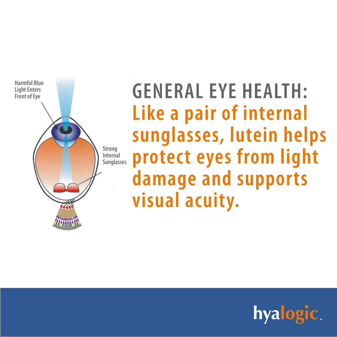 HylaVision Eye Health Supplement - Hyaluronic Acid, Lutein & Zeaxanthin | Eye Vitamins A, C, E and Zinc | 120 Capsules
