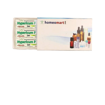 Hypericum Perforatum Homeopathy Pellets 1M Potency – Pack of 3 | HomeoMart