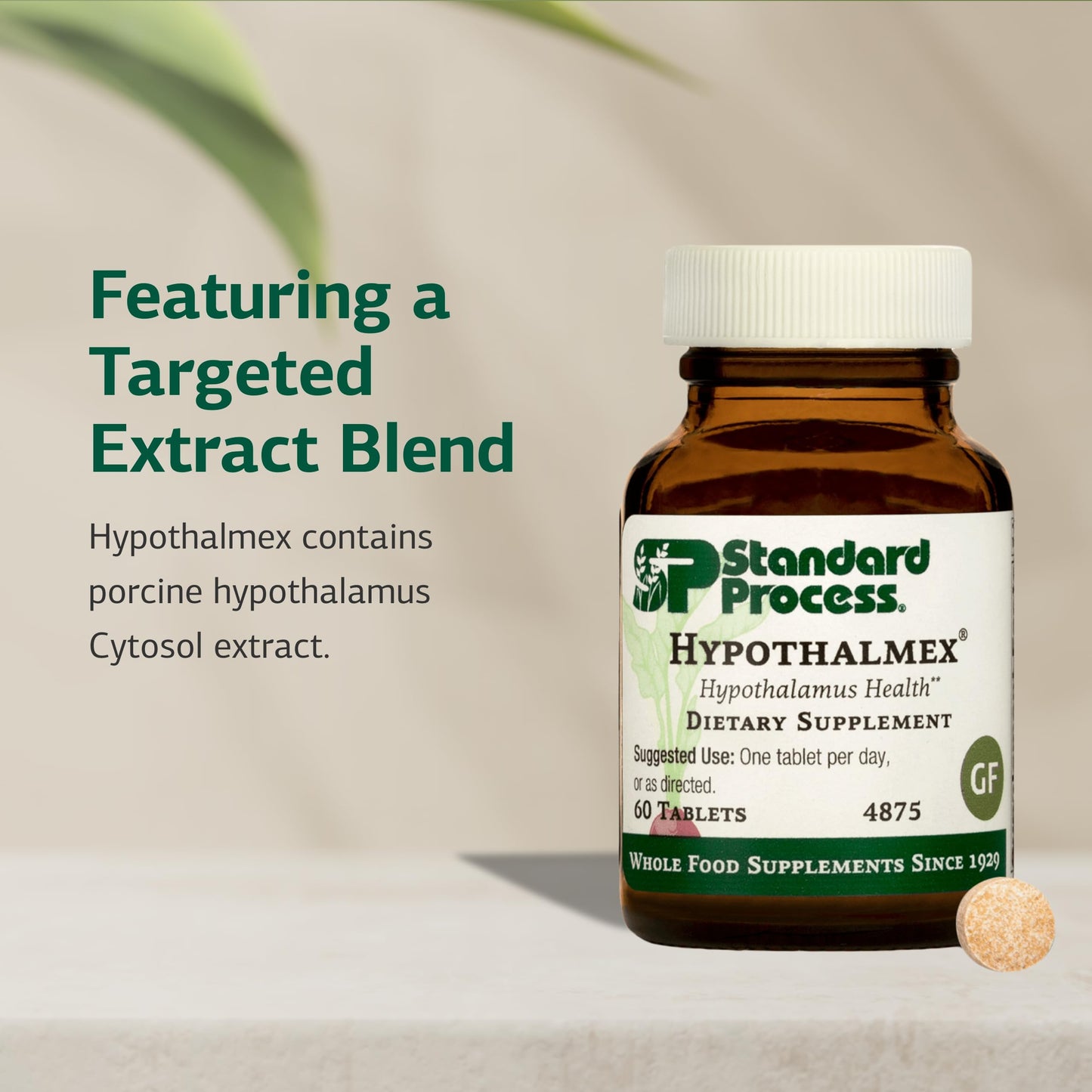 Standard Process Hypothalmex – Cytosol Blend with Porcine Hypothalamus, 60 Tablets