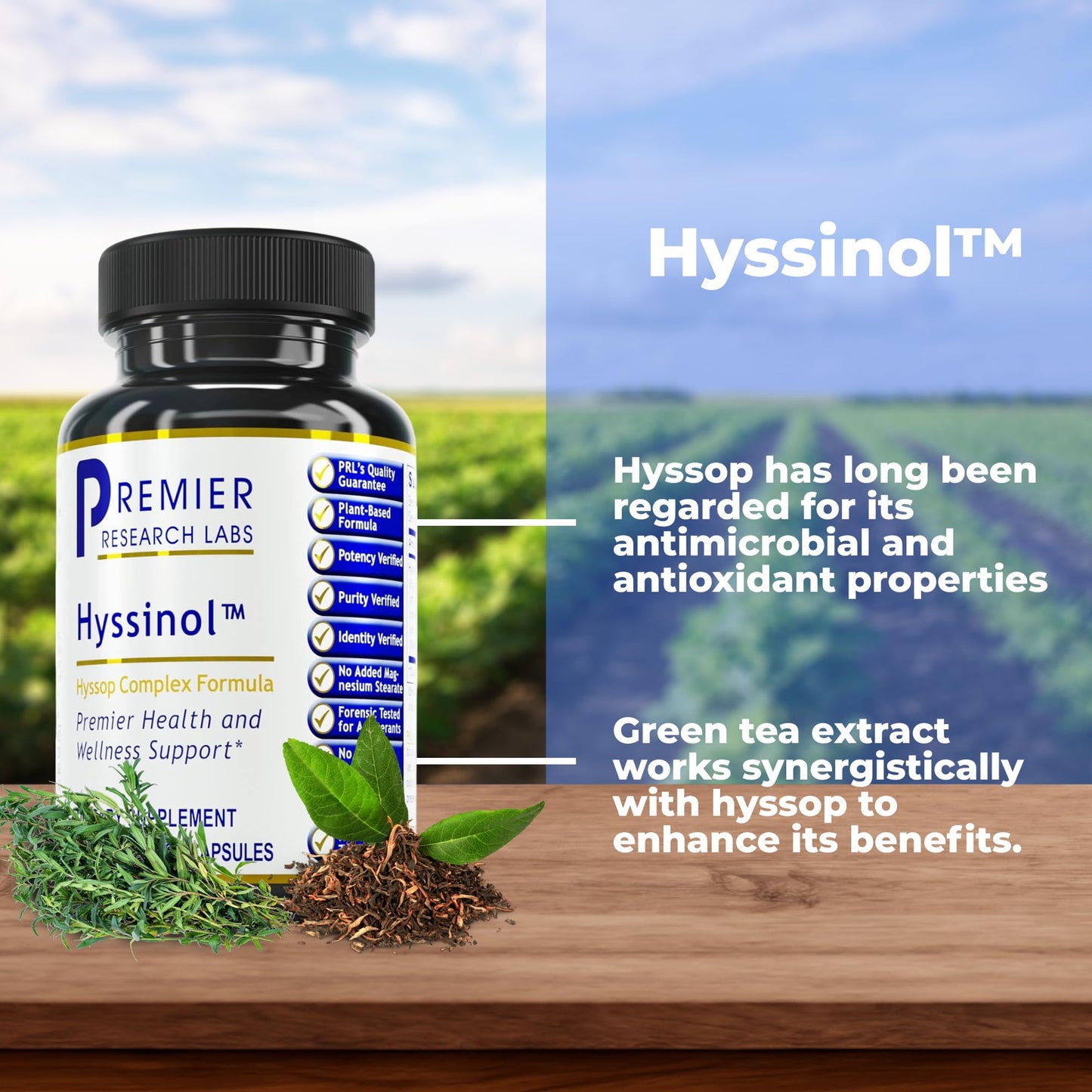 Premier Hyssinol Hyssop Capsules | Organic Hyssop + Green Tea - 60 Vegetarian Capsules