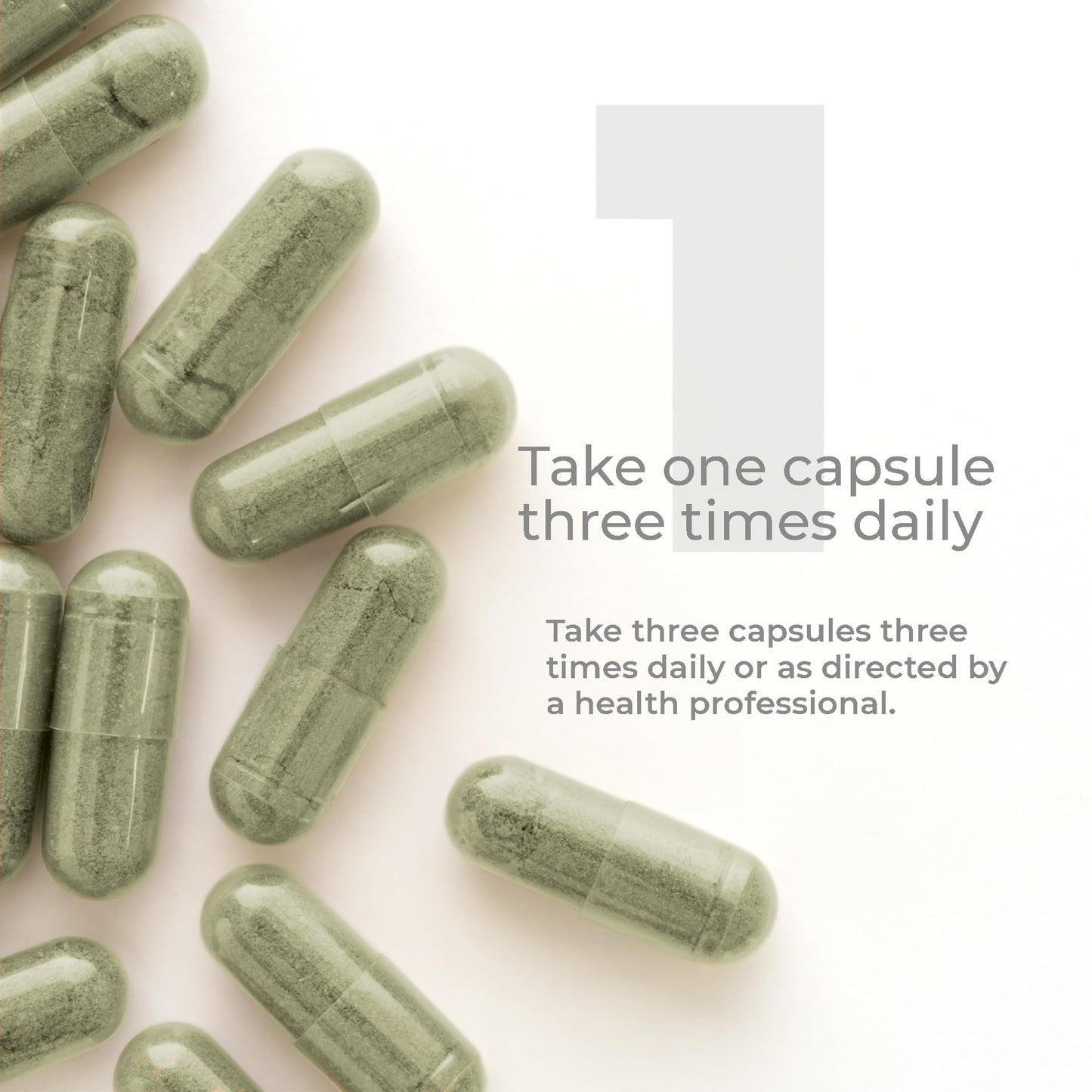 Premier Hyssinol Hyssop Capsules | Organic Hyssop + Green Tea - 60 Vegetarian Capsules