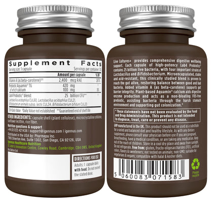 Igennus Probiotics & Prebiotic Lab4 – 25B CFU Gut Health, 30 Capsules