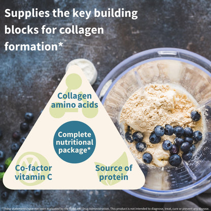 Igennus Vegan Vanilla Collagen Peptide Powder | Plant-Based & Vitamin C, 35 Servings