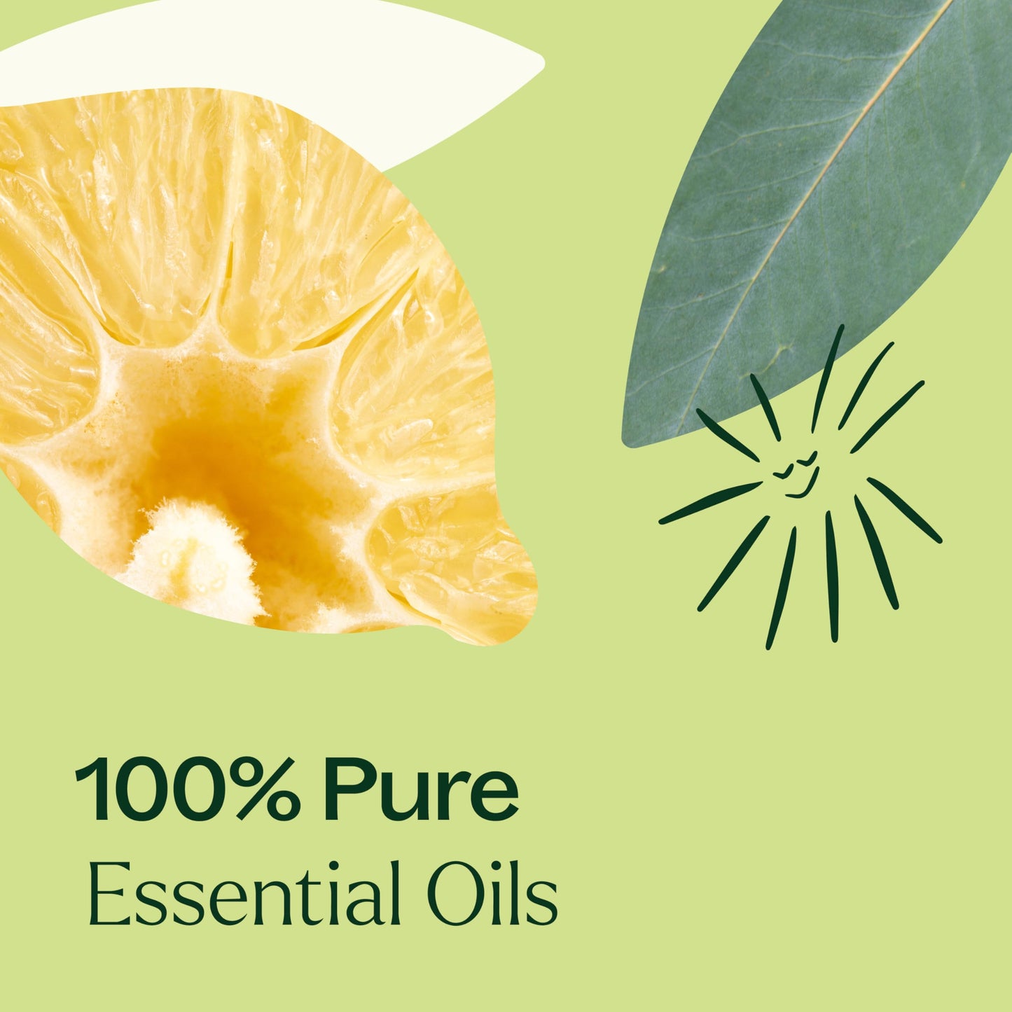 Plant Therapy Immune Aid Essential Oil Blend 10 mL | 100% Pure, Therapeutic Grade
