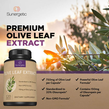 Premium Olive Leaf Extract Capsules 750mg | 20% Oleuropein | Immune & Cardiovascular Support | 120 Capsules