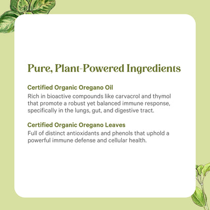 PURE SYNERGY SuperPure Oregano Extract Capsules | Organic Oregano Oil & Leaf