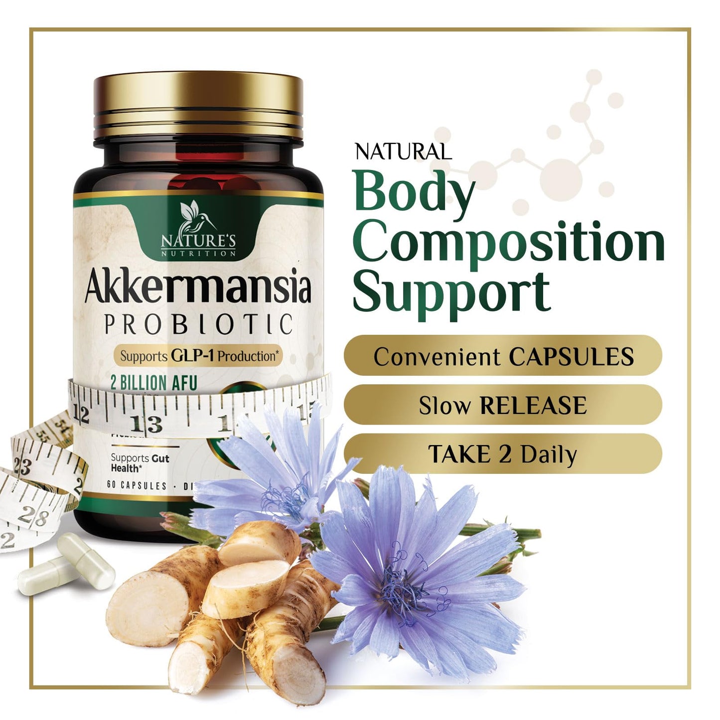 Akkermansia Probiotic 2B AFU | GLP-1 Support - 60 Capsules
