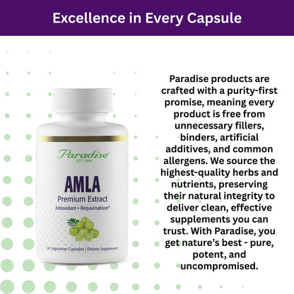 Paradise Herbs Amla 250 mg – Organic Whole Spectrum Vitamin C | Antioxidant & Ayurvedic Supplement | 60 Capsules