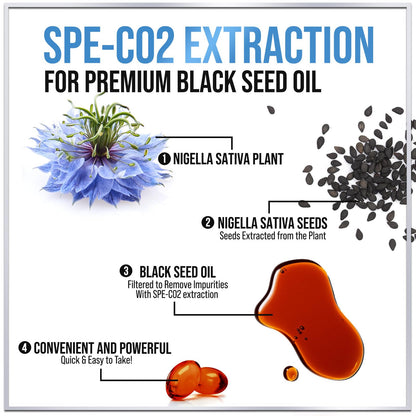 Black Seed Oil Softgels 1000mg – Premium Nigella Sativa Blackseed, Non-GMO, USA Bottled
