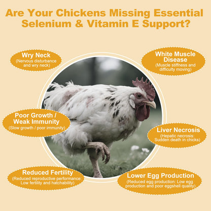 Selenium & Vitamin E Powder for Chickens – Immune & Muscle Support