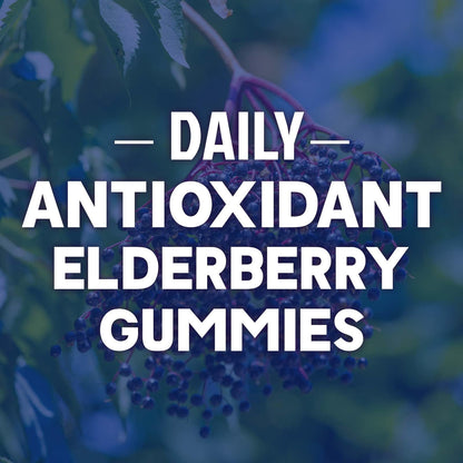 Immune Support Gummies - Sambucus Elderberry with Zinc & Vitamin C | Vegan Immune Support for Adults & Kids | 60 Gummies