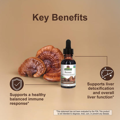 Nature's Answer Reishi Mushroom Extract – Alcohol Free, 1 fl oz (30 ml)