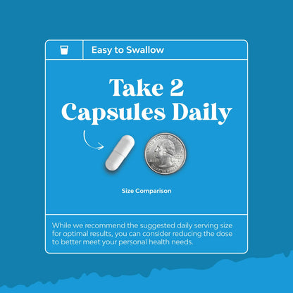 NAC 1000mg Vegan Capsules | N-Acetyl Cysteine for Liver Detox, Lung Health & Immunity (2 Months)