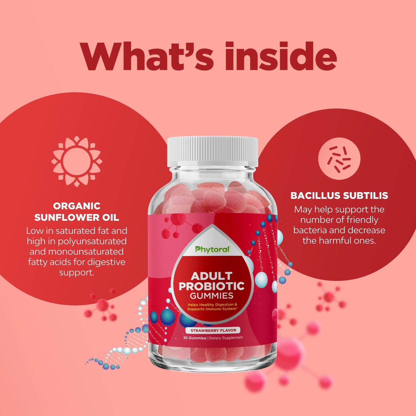Healthy Gut Probiotic Gummies for Adults – 5 Billion CFU | Organic Probiotics for Digestive Health & Immune Support