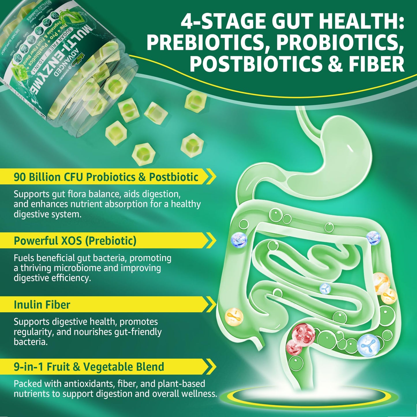 Digestive Enzymes Gummies for Women & Men | 90B CFU Probiotics + Prebiotics & Postbiotics | Fiber Blend | 60 Count