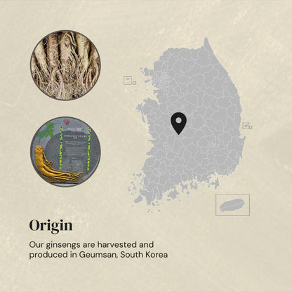 Gumiho Ginseng Powder- Korean Panax Ginseng & Yam from Geumsan; Ginsenosides Supports Immune System; Yam Supports Digestive System, Increasing Health Benefits; Ideal for Drinks, Bakeries, Savories