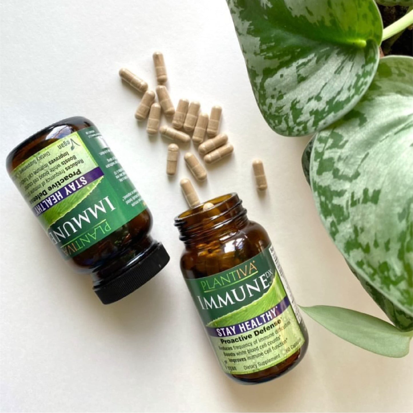 Plantiva ImmuneDx – Vegan Immune Support, 60 Capsules