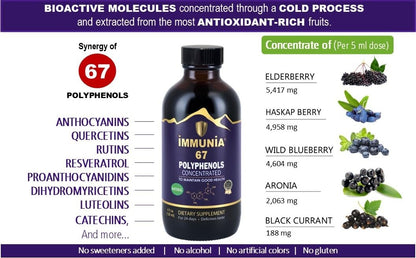 Immunia 67 Polyphenols: Elderberry Concentrate & Antioxidant Fruits – 24-Day Supply