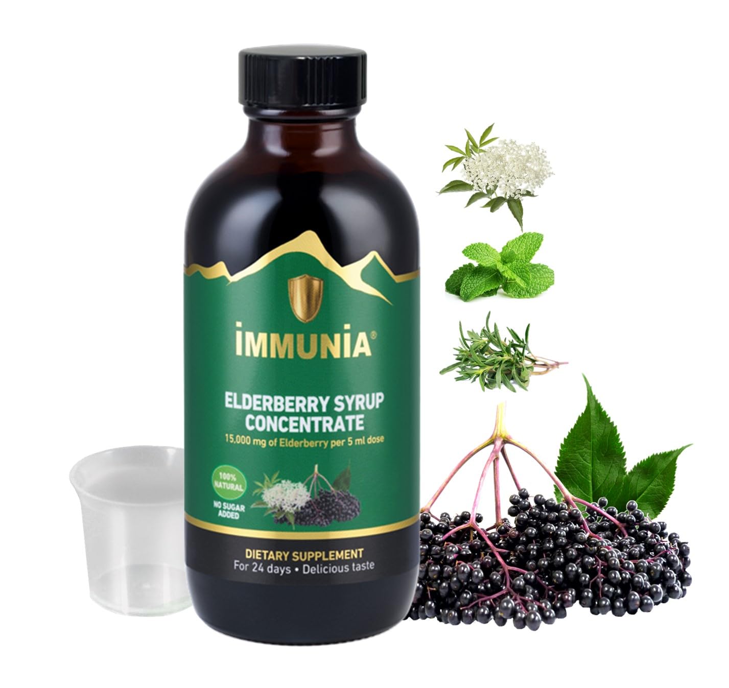 Immunia Elderberry Syrup – No Sugar Added, with Elderberry, Elderflower, Thyme & Peppermint | 24 Days per Bottle (1-Pack)
