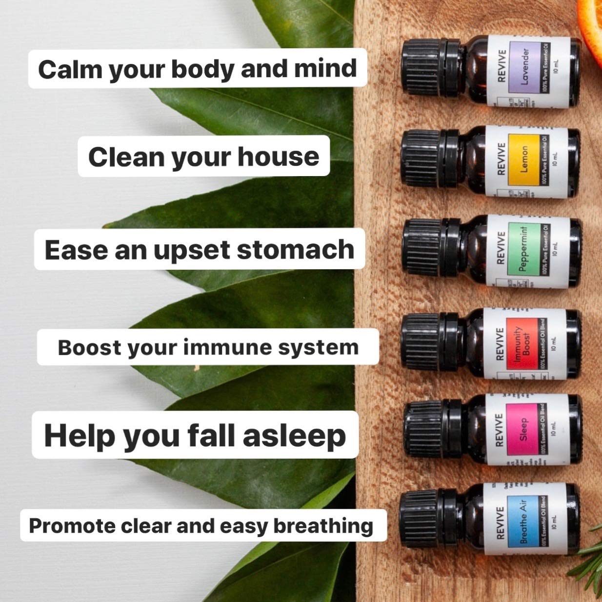 Aromatherapy Kits by Revive Essential Oils - Basics Kit (100% Pure Therapeutic Grade)