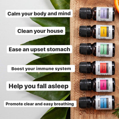 Aromatherapy Kits by Revive Essential Oils - Basics Kit (100% Pure Therapeutic Grade)