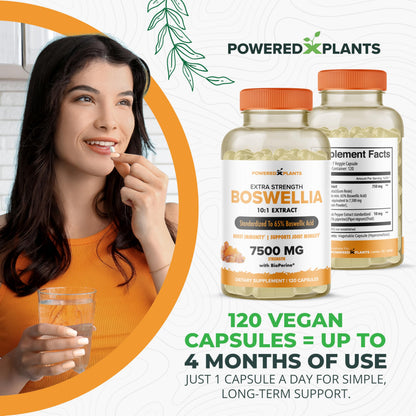 Boswellia Serrata Extract Joint Support – Powered by Plants | 65% Boswellic Acids + BioPerine | 120 Vegan Capsules