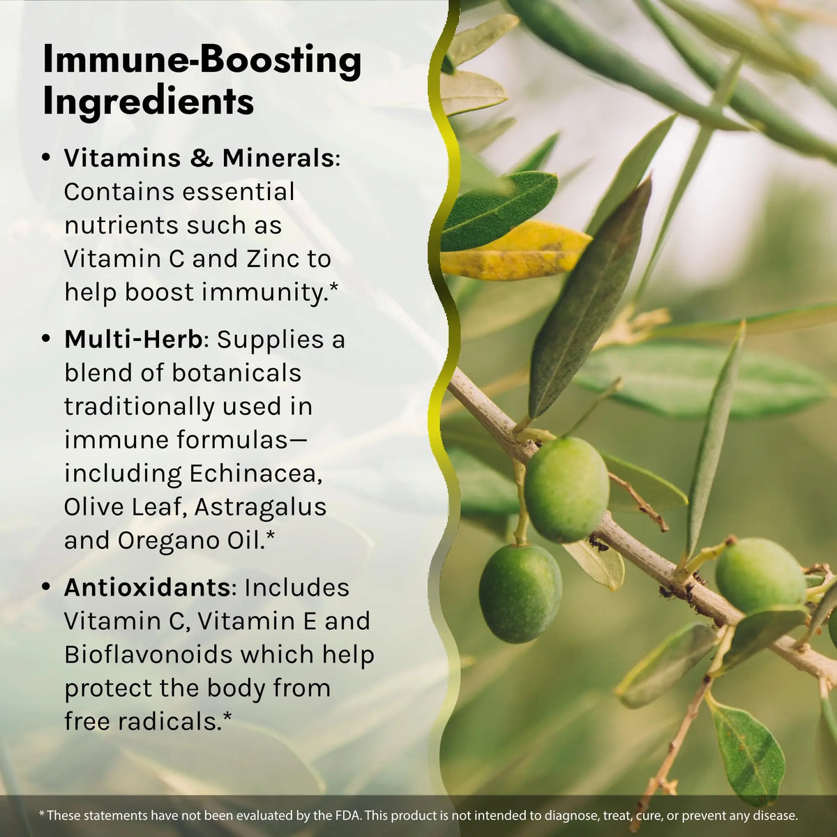 Irwin Naturals Immuno-Shield – 100 Liquid Softgels (Pack of 2) | All-Season Immune Support BritishVita | Premium UK Vitamins & Wellness Supplements