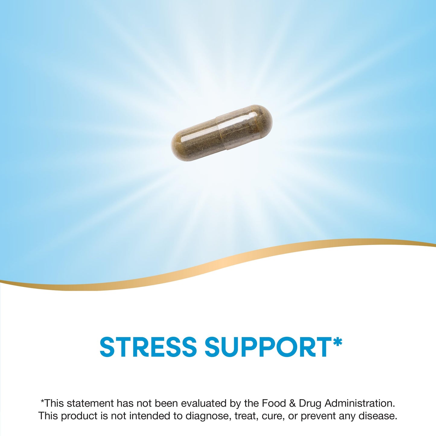 Nature's Way Holy Basil Premium Extract — Stress Support, Adaptogenic Herb, 450 mg, 60 Vegan Capsules