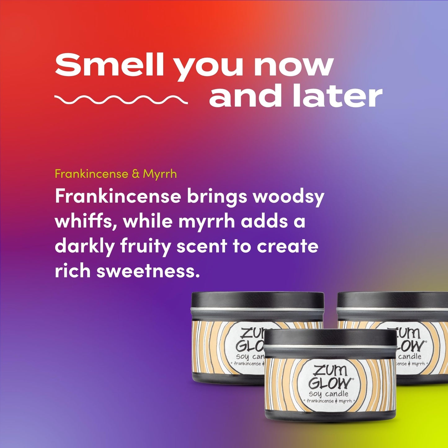 Zum Indigo Wild Glow Frankincense & Myrrh Candle – Soy Wax, Lead-Free Wick, 7 oz (3 Pack) | 30-Hour Burn