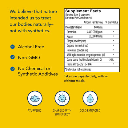 Inflam-EEZ by North American Herb & Spice - 90 VegiCaps | Immune & Inflammation Support